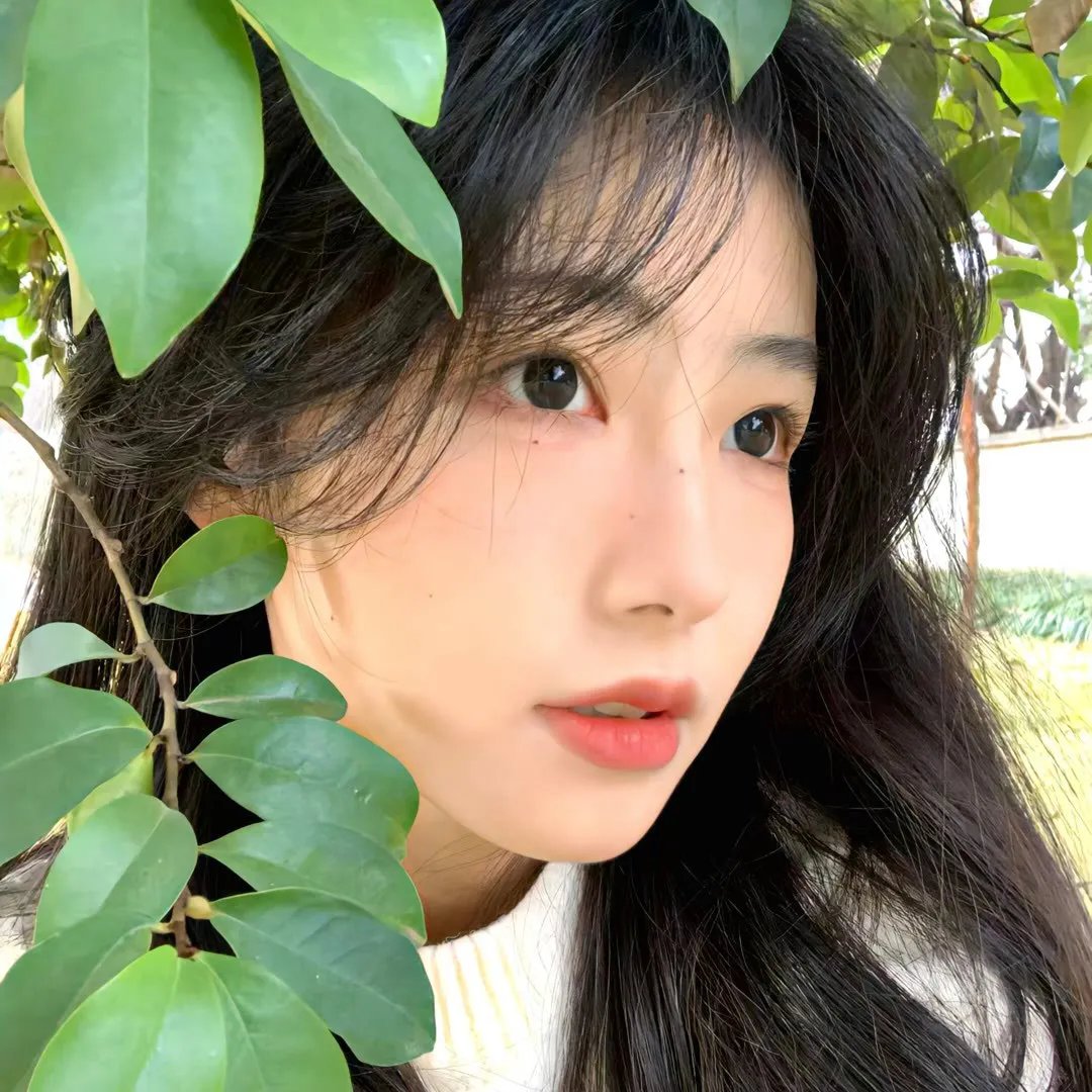 陌生的温柔